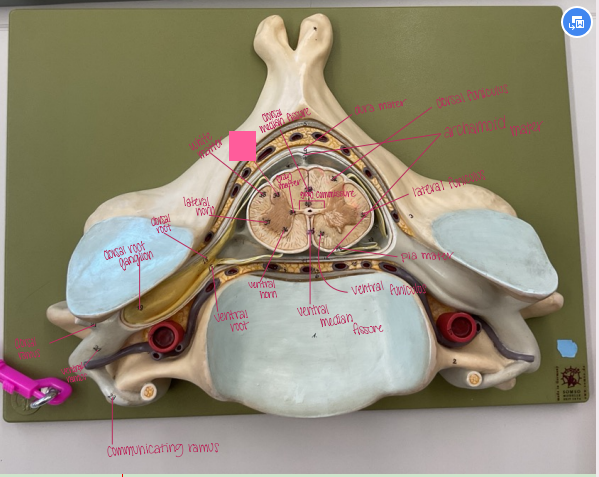 <p>What is being shown? </p>