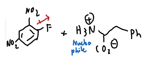 <p>What solvent can be used so that these two reagents undergo a SNAr reaction?</p>