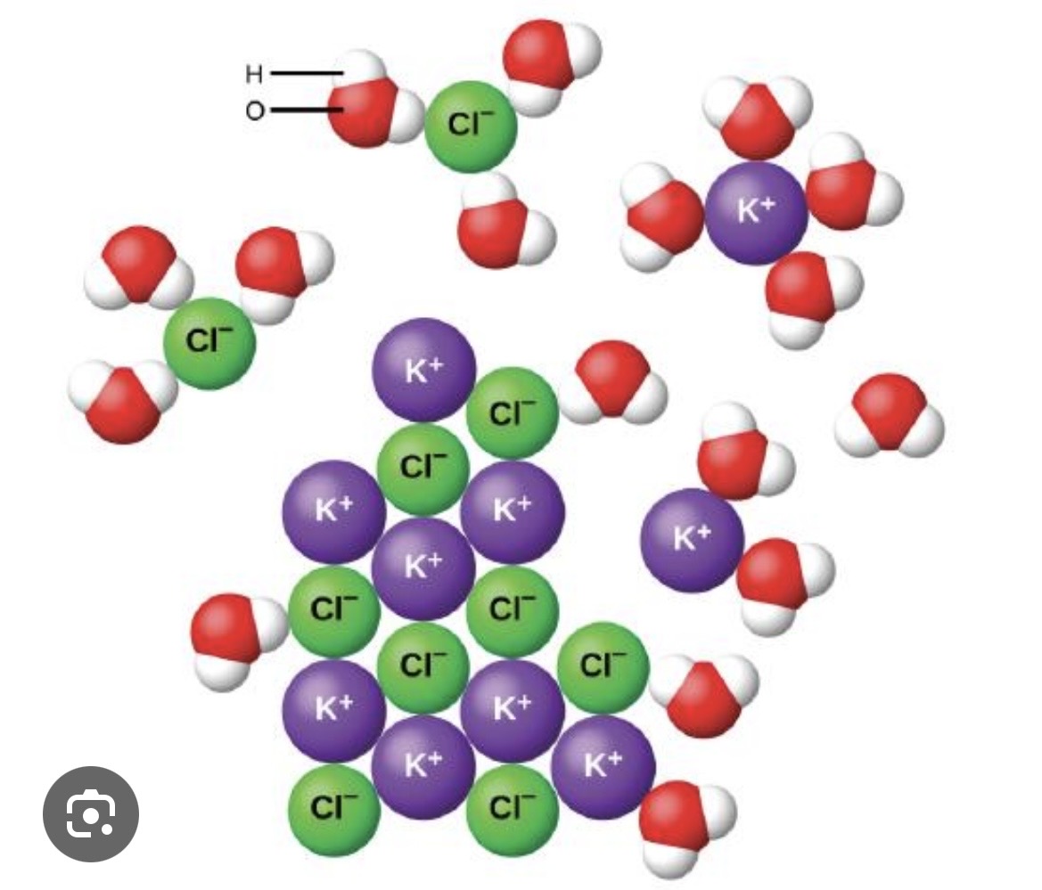 <p>What do the separated ions represent?</p>