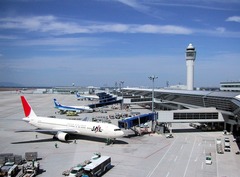 <p>the airport</p>