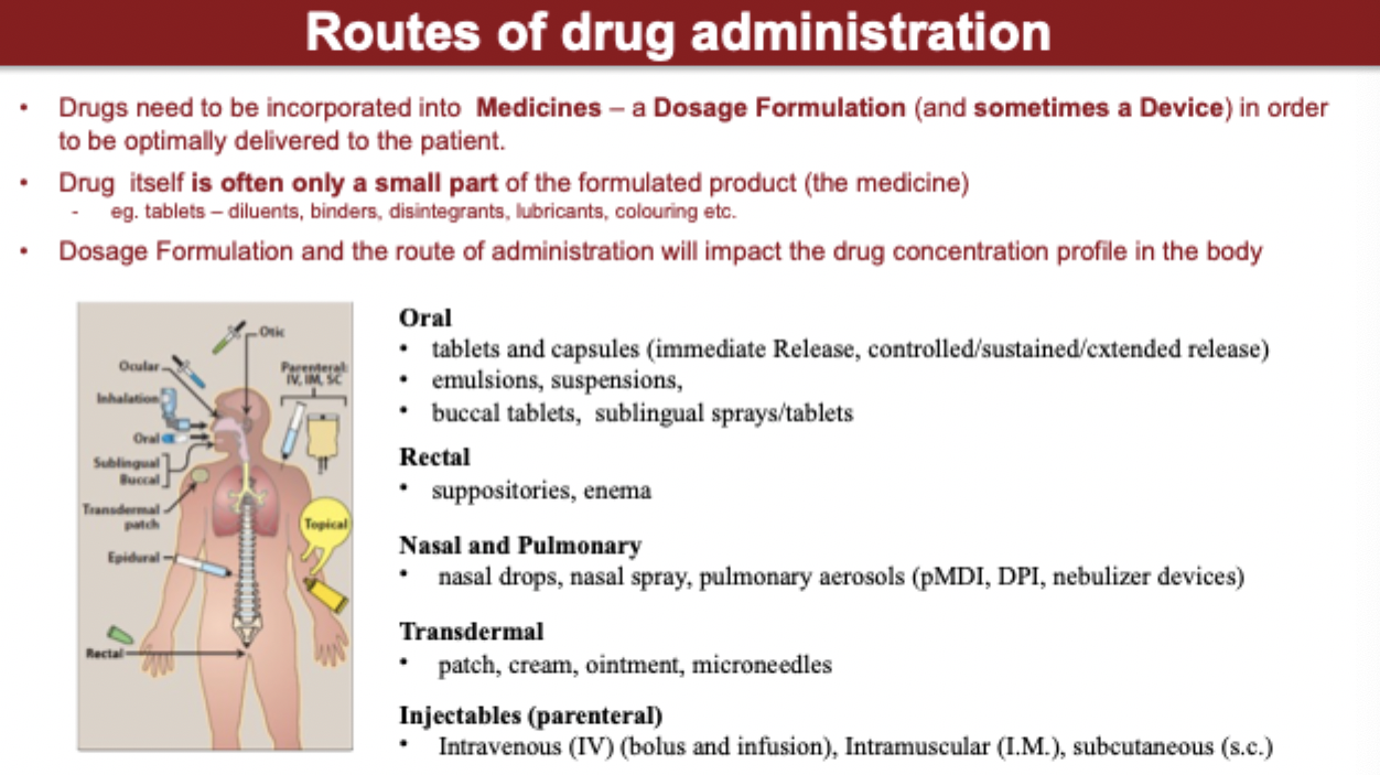 <p>routes of drug administration</p>