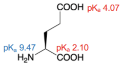 <ul><li><p>Negative, polar</p></li></ul><p></p>