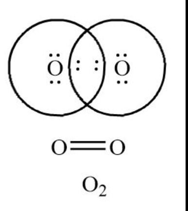 <p>shares 2 electrons</p><ul><li><p>Oxygen gas O2</p></li></ul><p></p>