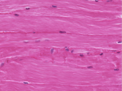 <p>Identify</p>