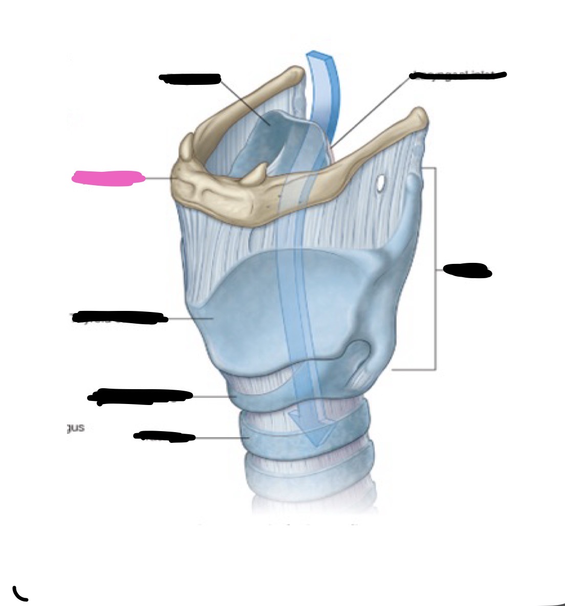 knowt flashcard image