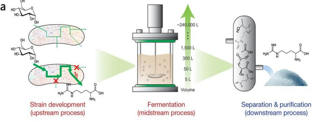 <p>Systems strategies for developing industrial microbial strains: Iterative Design Loop </p><p></p>