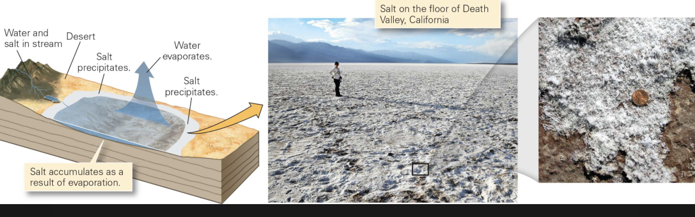 <p>thick salt deposits that form as a consequence of precipitation from saline water where the specific types of salt minerals that make up an evaporite depend on the amount of evaporation</p><ul><li><p><span style="color: rgb(255, 0, 0);"><strong><em>Gypsum</em></strong></span> → 80% of the water evaporates </p></li><li><p><span style="color: rgb(255, 0, 0);"><strong><em>Halite</em></strong></span> → 90% of the water evaporates</p></li></ul><p></p>