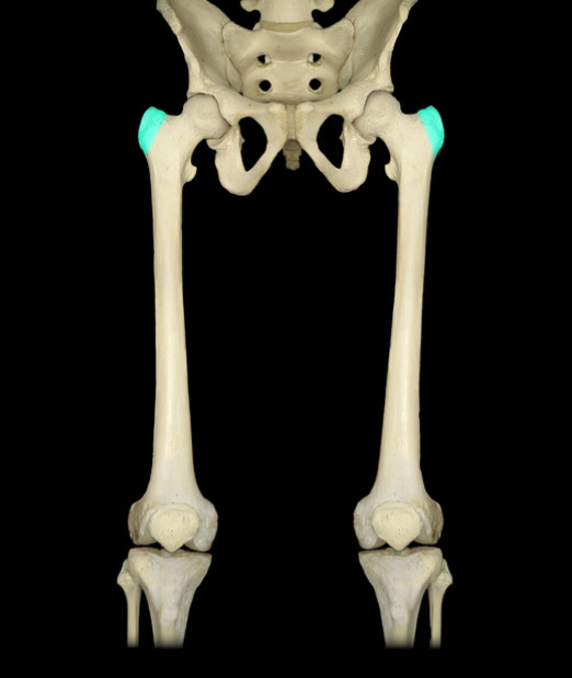 <p>What is the name of this structure?</p>