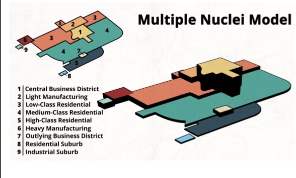 <p>Multiple centers (nodes) developed because the importance of CBD’s is decreasing, lots of business districts in high consumption areas in each node.</p>