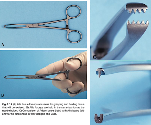 <p>soft tissue forceps</p>