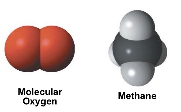 <p>Nonpolar molecules</p>