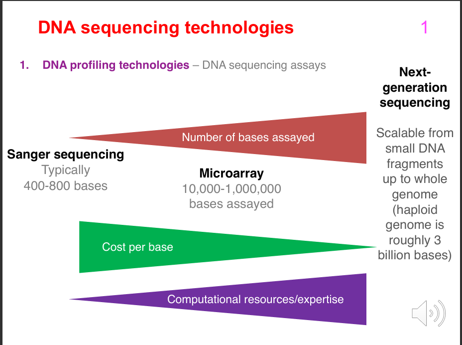 <p>Sanger sequencing:</p><p>- Typically ~400-800 bases.</p><p>.</p><p>Microarray:</p><p>- Roughly 10,000-1,000,000 bases/sites assayed, depending on the array.</p><p>.</p><p>Next-generation sequencing:</p><p>- Scalable from small DNA fragments up to the whole genome.</p><p>- Haploid human genome ≈ 3 billion bases.</p><p>.</p><p>Lecturer explanation:</p><p>Sanger is suitable for a small, targeted region; NGS can scale to very large genomic regions or the whole genome.</p>