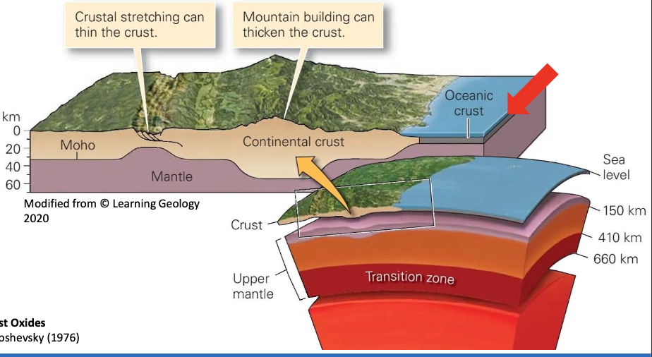 <p><strong>2 TYPES OF CRUST:</strong></p><p>Covers ~60% of the Earthās surface</p><p class="p2">o Thickness: 5 to 10 km (average: 7 km)</p><p class="p2">o Dense and Homogenous</p><p class="p2">o Young (<200 Ma)</p><p class="p2">o Composition (SiMa):</p><p class="p1">o Silicates (Mg-rich)</p><p class="p2">o Basalt (Mg, Ca, Fe)</p>