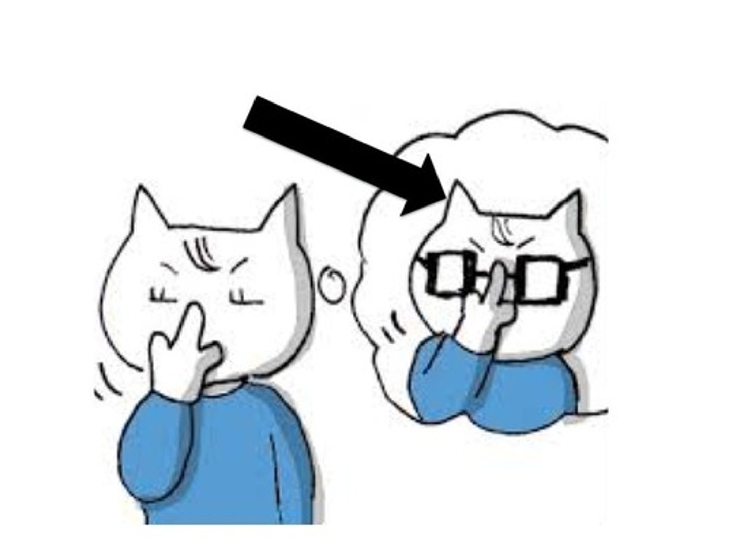 <p>to put on (glasses)</p>