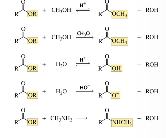 <p>Needs to be done in acidic or basic conditions so H+, OH-, or CH3O- typically used except for amines because it is already basic</p><p>Group gets replaced and leaves alcohol</p>