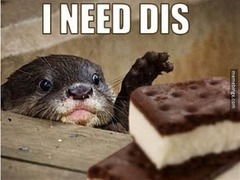 <p>to have</p>