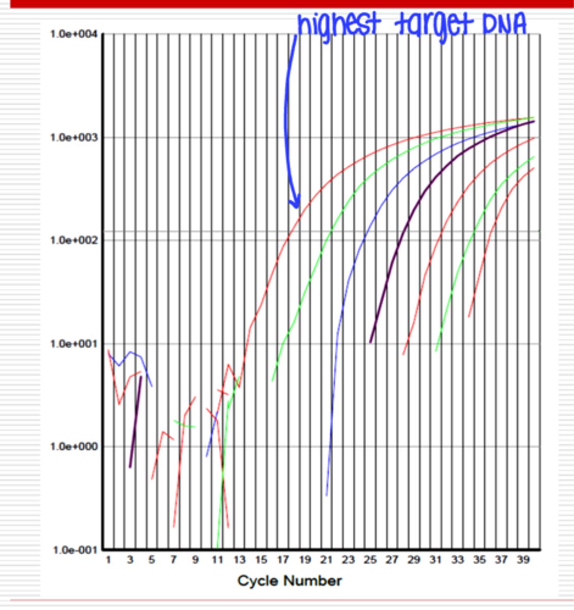 <p>know which has the highest target DNA</p><p>- needs the least amount of cycles</p>