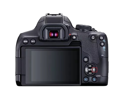 term image