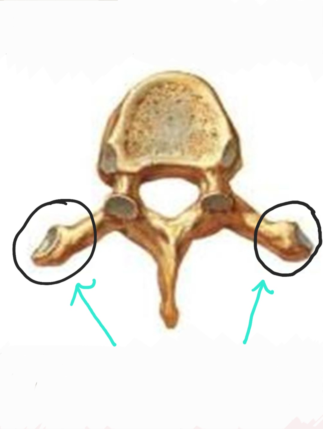 <p>Qual é o nome?</p>