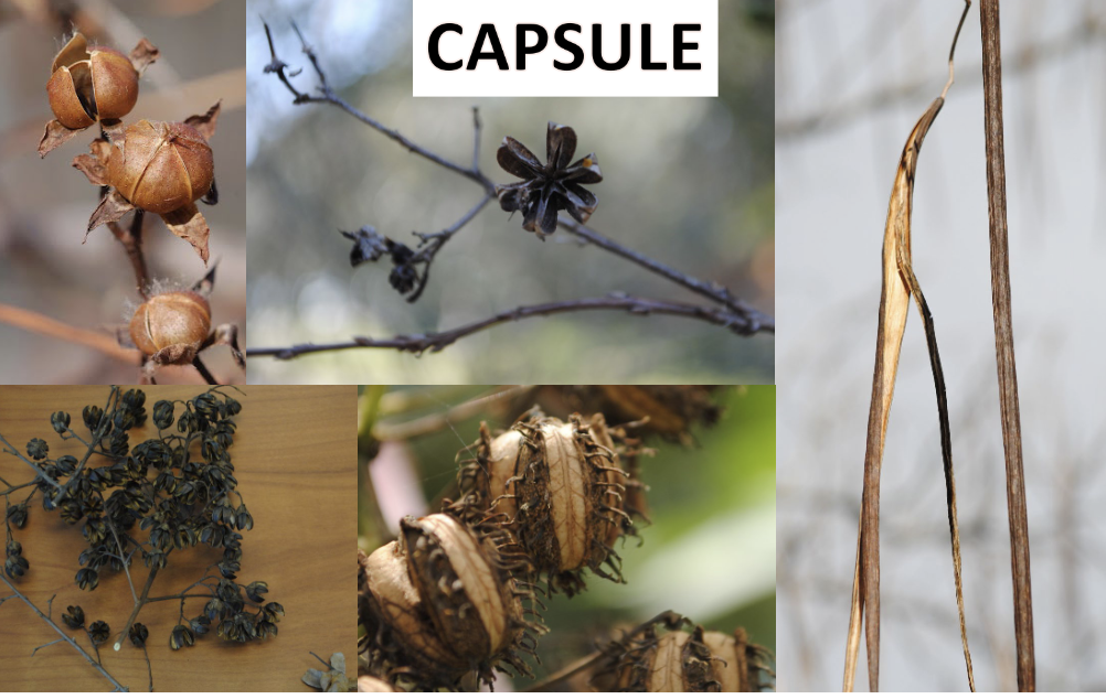 <p>What is this?</p>