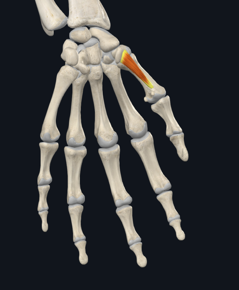 term image