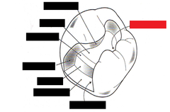 knowt flashcard image