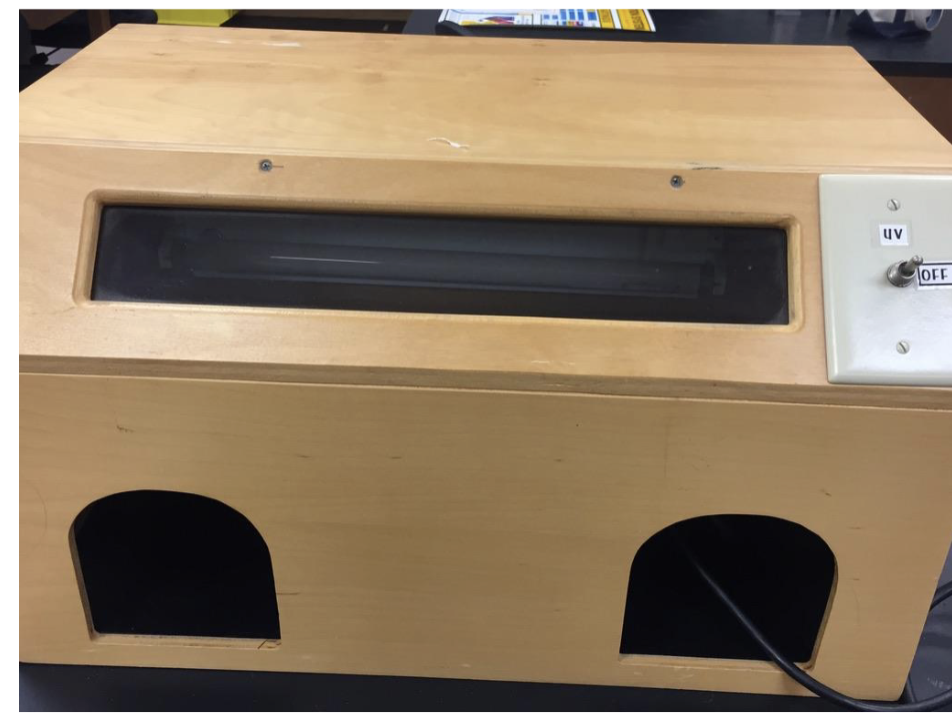 <p>what’s this?</p>