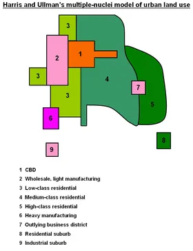 <p>Definition: Cities have multiple centers (nodes), not just one CBD. Land use is specialized.</p><p>/</p><p><strong>Example: A city with a university, a factory district, and a commercial center separately.</strong></p>