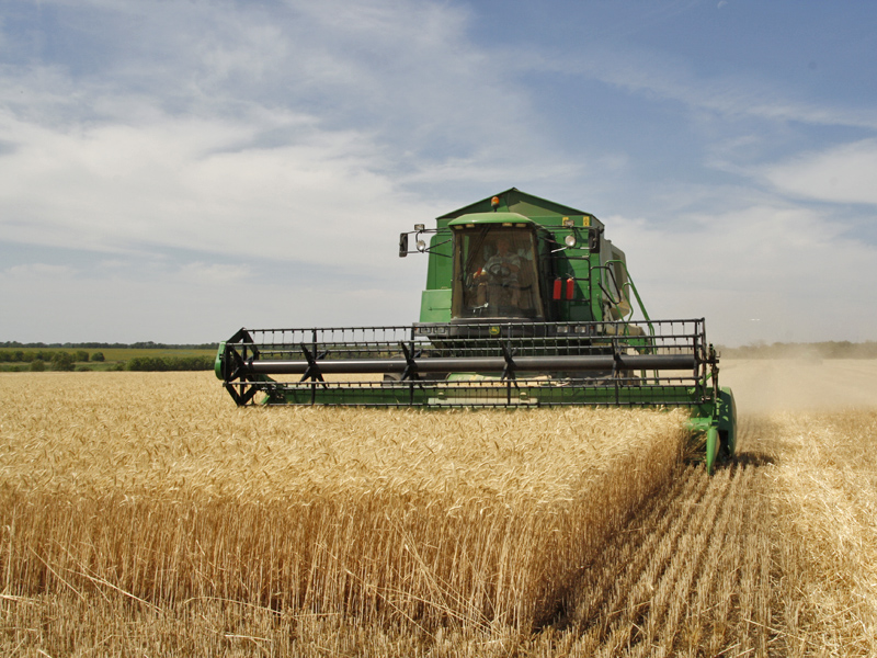 <p>harvest</p>