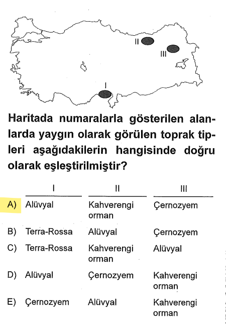 <p><strong>I (Çukurova):</strong> Akarsuların taşıdığı malzemelerle oluşan, en verimli taşınmış (<strong>Azonal</strong>) toprak olan <strong>Alüvyal</strong> topraktır.</p><p><strong>II (Doğu Karadeniz Kıyıları):</strong> Nemli ve yağışlı iklimde, geniş yapraklı ormanlar altında oluşan <strong>Kahverengi Orman</strong> toprağıdır.</p><p><strong>III (Erzurum-Kars):</strong> Sert karasal iklimde, uzun boylu çayırlar altında oluşan dünyanın en verimli yerli toprağı <strong>Çernezyom</strong> (Kara toprak) dur.</p>