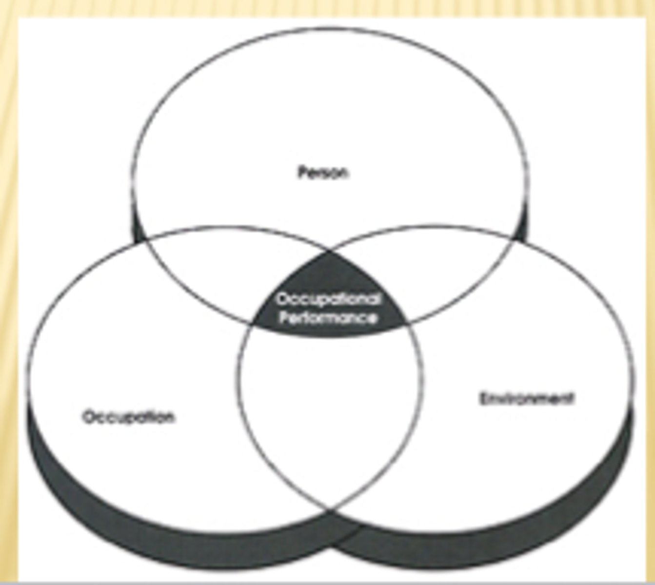 <p>biomedical, client-centered rehab, community rehab, and independent living</p>