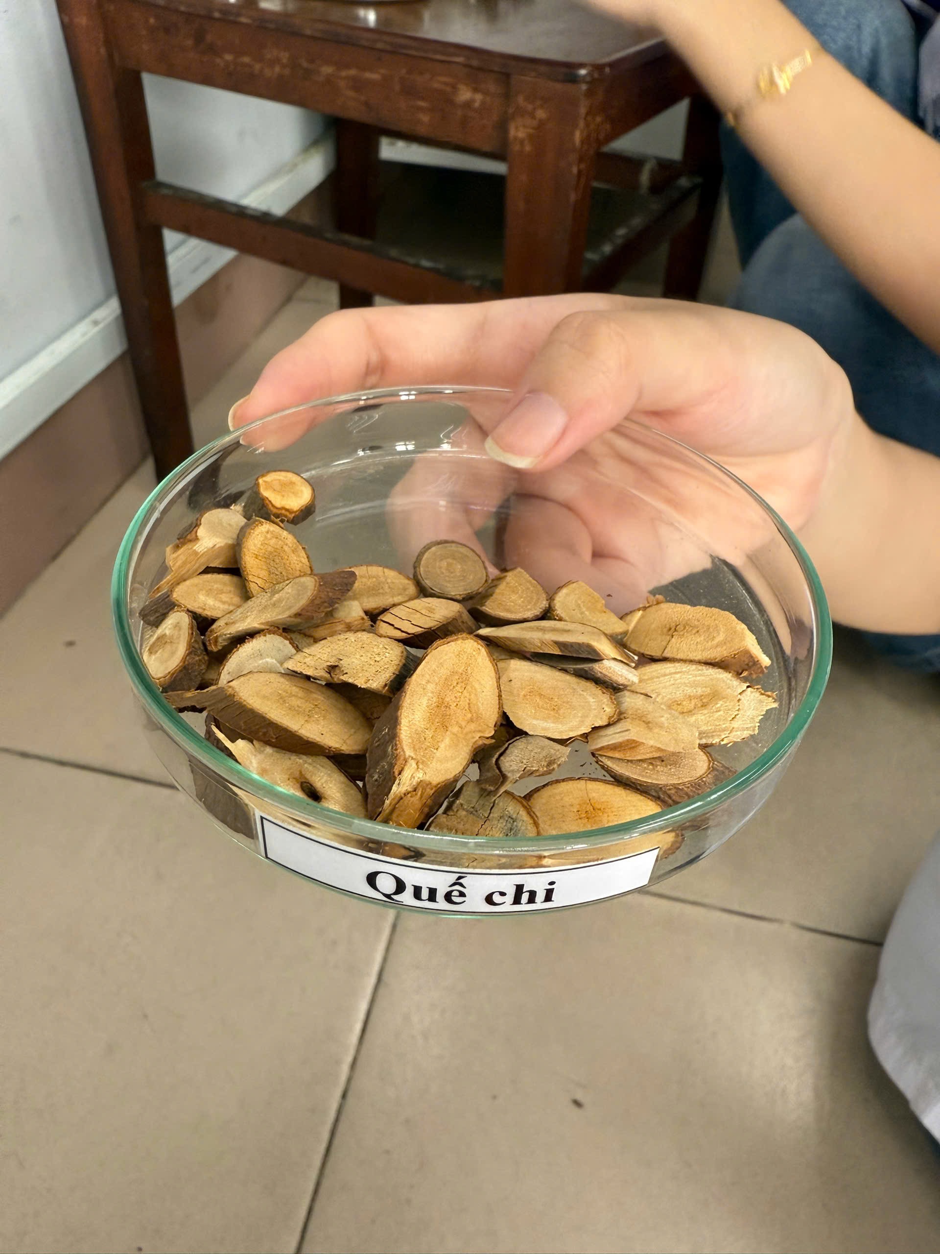 <p>quế chi tân ôn giải biểu cành nhỏ tinh dầu aldehyd cinnamic flavonoid trị cảm mạo kinh bế </p>