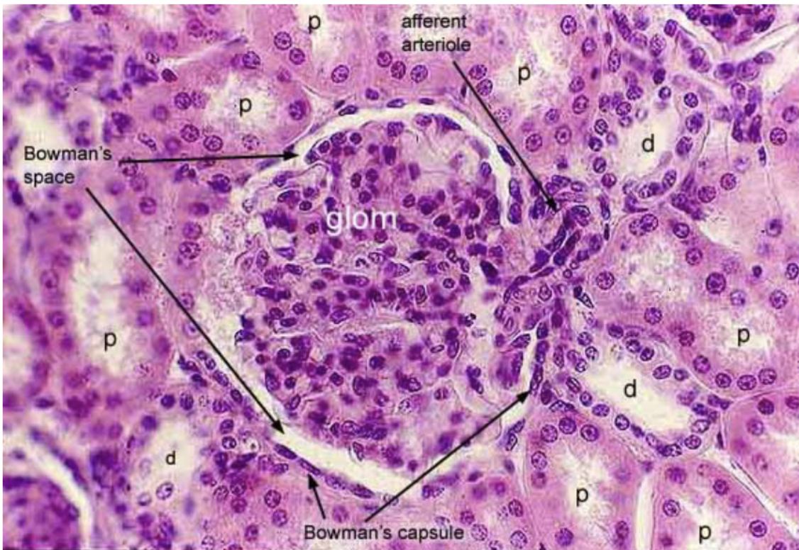 <p>What is this?</p>