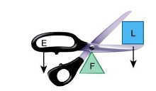 <p>Head balancing on neck </p><p>First class</p>
