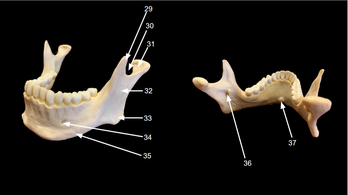 <p>WHAT IS 30 CALLED?</p>