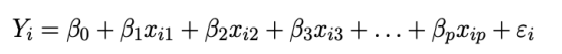 <p>een statistisch model dat lineair is in zijn parameters</p><ul><li><p>parameters (β) mogen niet in een niet-lineaire vorm voorkomen (zoals β2 of log(β)) </p></li><li><p>de variabelen (X) zelf mogen dat wel</p></li></ul><p></p>