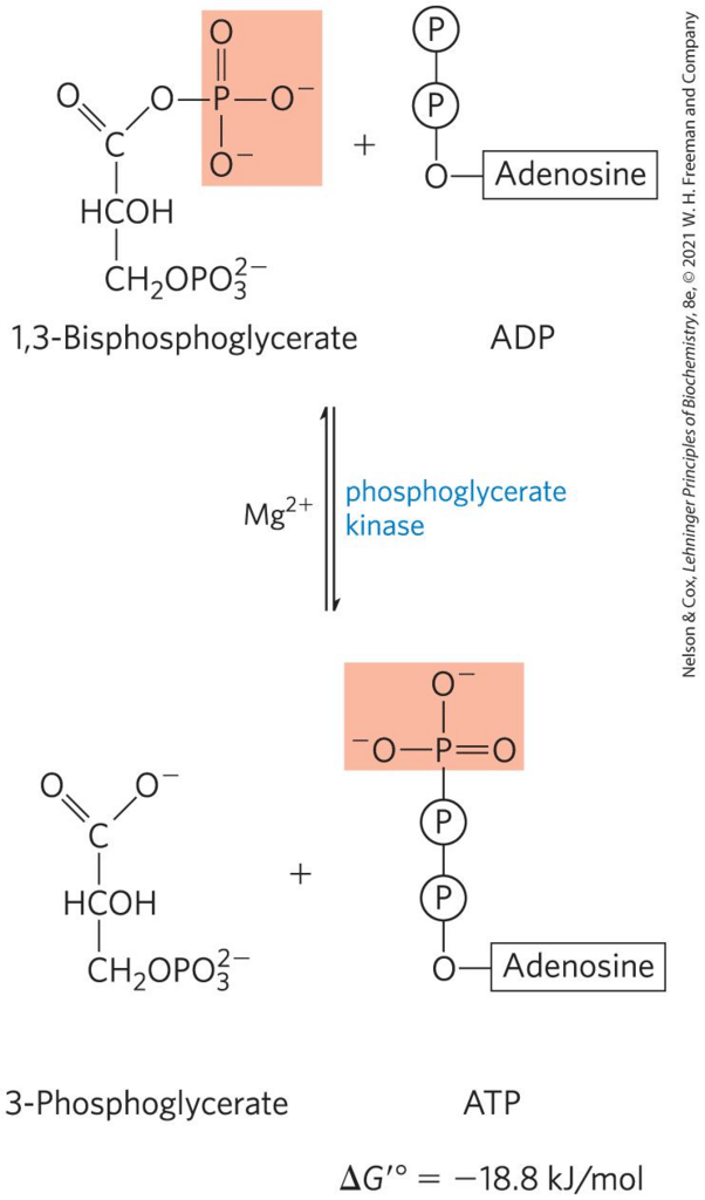 <p>It is a way to generate ATP directly in glycolysis.</p>