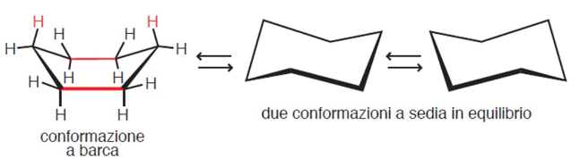 <p>Conformazione a barca, due conformazioni a sedia in equilibrio. Semplici rotazioni intorno ai legami C-C permettono di passare da una conformazione all’altra. </p>