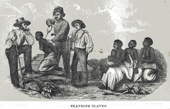 <p>A method for attracting immigrants, Virginia offered 50 acres of land to each immigrant who paid for passage to America and to any plantation owner who paid for an immigrants passage. (p. 28)</p>