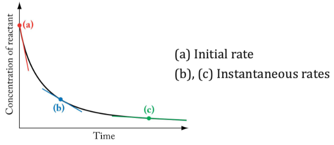 <p>The rate of a reaction at t = 0, immediately after the reactants are</p><p>mixed</p><p>• We find the initial rate from the slope of the line tangent to the curve at t = 0 s.</p><p>• The initial rate is faster than the instantaneous rate at any later time during</p><p>the reaction.</p>