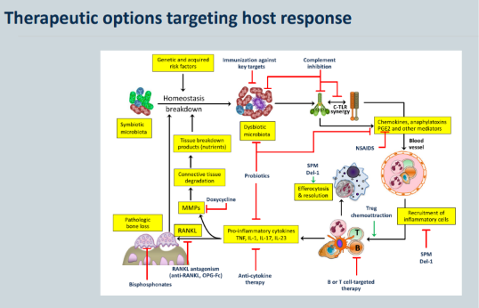 <p>Therapeutic options targeting host response</p>