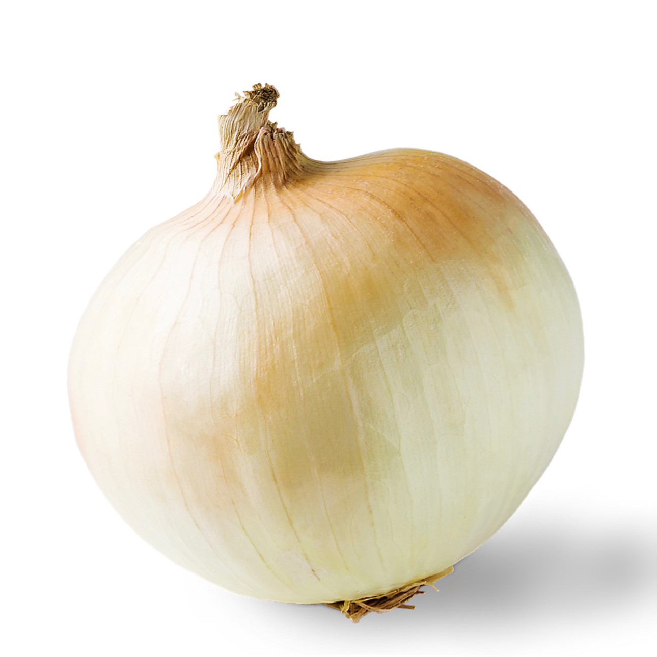 <p>sweet yellow onion</p>