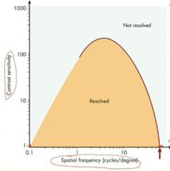 <p>When looking at the following graph of a human contrast sensitivity function, what is the y-axis?</p>