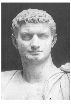 <p>became emperor when brother Titus died of a fever</p><p>Strengthened Roman economy and expanded border defenses</p><p>Rule became increasingly autocratic</p><p>Assassinated in 96 CE</p><p></p>