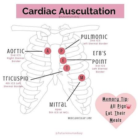<p>Aortic semilunar valve - Right sternal border, Between second and 3rd rib</p><p>Pulmonary semilunar valve - Left sternal border Between second and 3rd rib</p><p>Tricuspid valve - Left sternal border Between 4th and 5th Rib</p><p>Mitral valve - Left Side, mid clavicular line, between 5th and 6th rib</p>