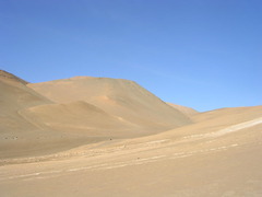 <p>the desert</p>