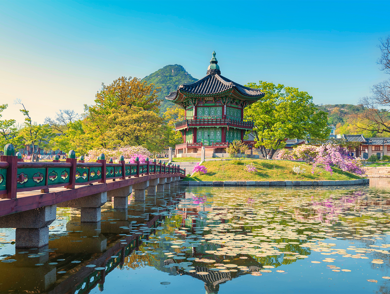 <p>고궁</p>