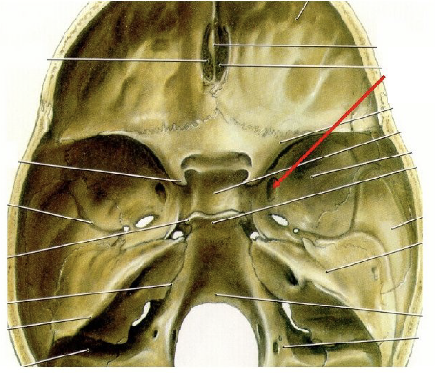 <p>What is this structure?</p>