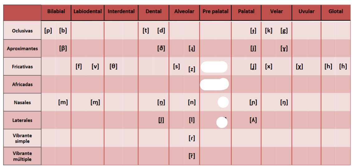 <p>Pre palatal</p>