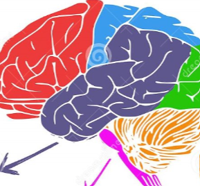 <p>area in blue and functions </p>